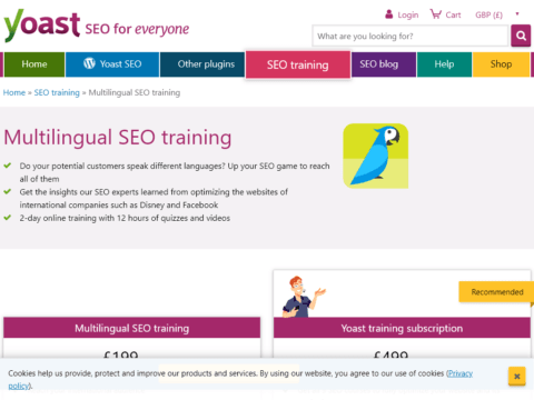 Multilingual SEO training