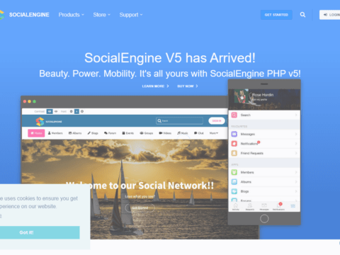 SocialEngine