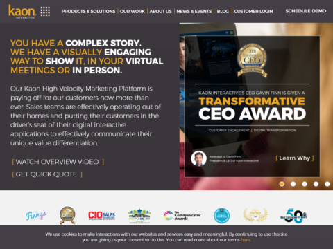 Kaon Interactive