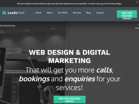 Leadsfest Web Design | Best Website Designer Ireland