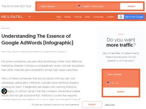 Understanding The Essence of Google AdWords (Infographic)