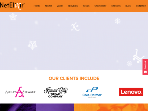 NetElixir