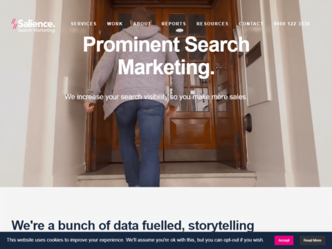 Salience Search Marketing