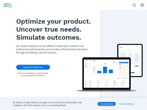 Sawtooth Software
