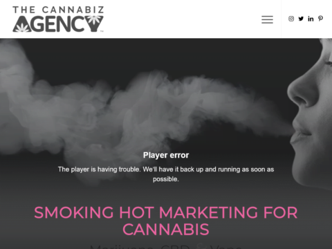 The Cannabiz Agency