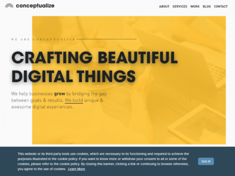 Conceptualize