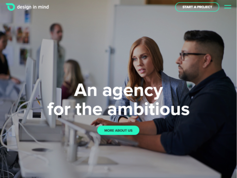 Design in Mind, LLC
