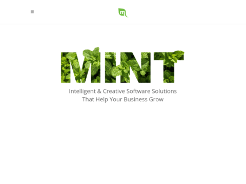 Mint Media