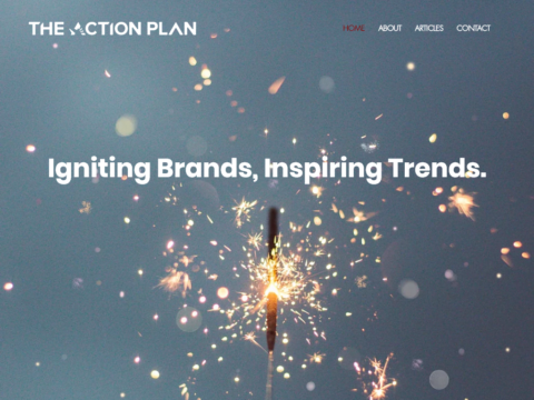 The Action Plan Pte Ltd