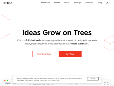 XMind