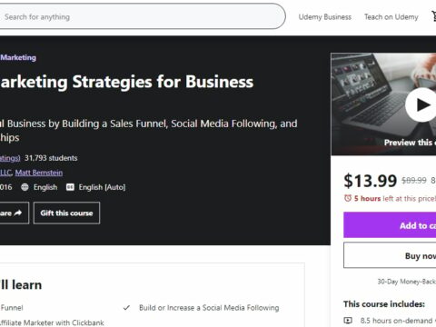Digital Marketing Strategies for Business Owners