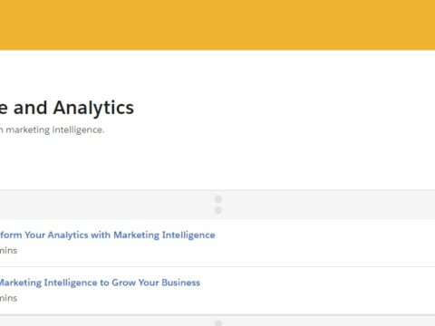 Marketing Intelligence and Analytics