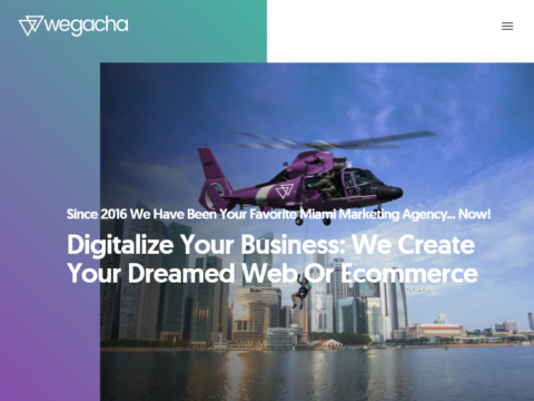 Wegacha LLC