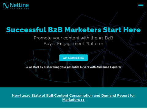Netline Corporation