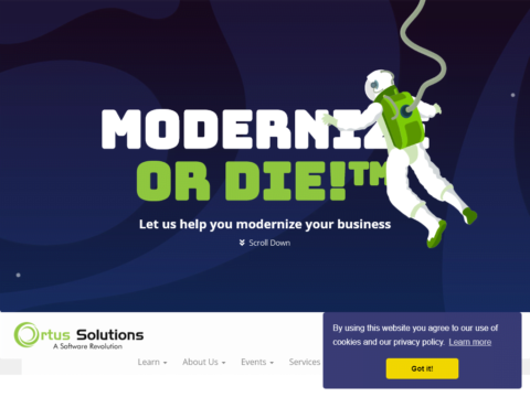 Ortus Solutions