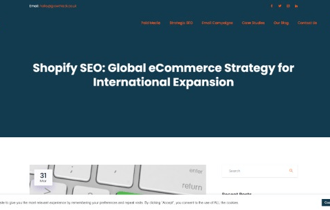 Shopify SEO