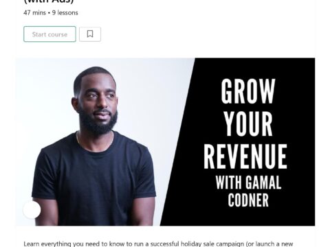 Grow Your Holiday Sales or Product Launch Revenue (with Ads)