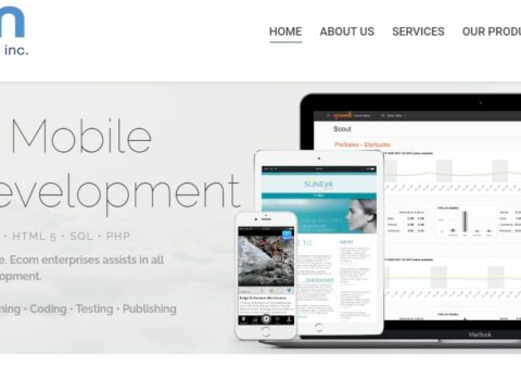 Ecom Enterprises