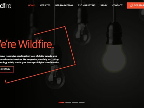 Wildfire Marketing