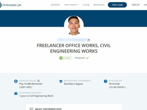 FREELANCER OFFICE WORKS, CIVIL ENGINEERING WORKS