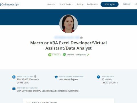 Macro or VBA Excel Developer/Virtual Assistant/Data Analyst