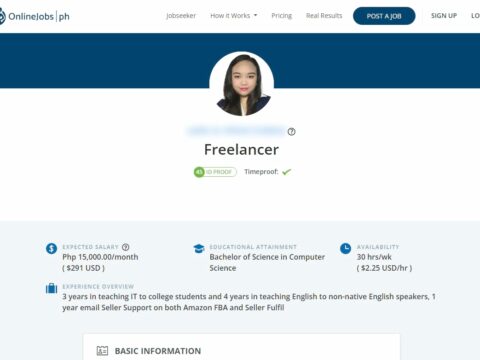 Freelancer