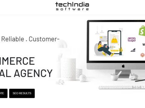 TechIndiaSoftware