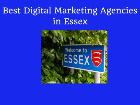 Best Digital Marketing Agencies in Essex