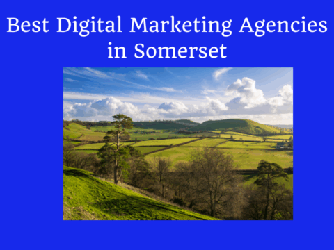 Digital Marketing Agencies in Somerset
