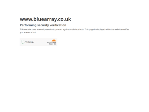 Blue Array website homepage